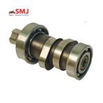 discover 100 camshaft assembly