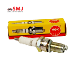 NGK 01