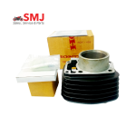 Salandor Honda Hornet 01