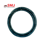 Suzuki Gixxer Fork Oil Seal