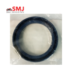 Suzuki Gixxer Fork Oil Seal
